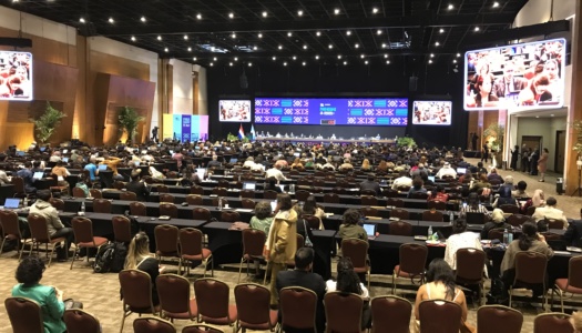 Table ronde « Explorer les liens – action climatique pour le patrimoine vivant » – 3 décembre 2024